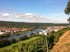 Ausblick auf Erlenbach a. Main